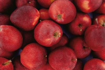 acerola-roja