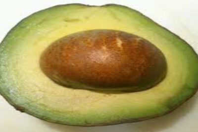 Abocado