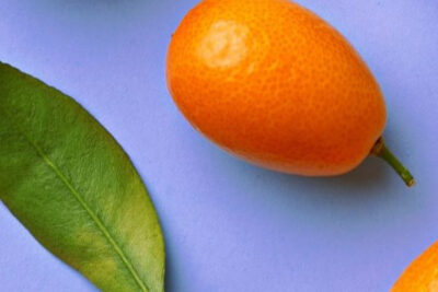 cumquat-y-hoja