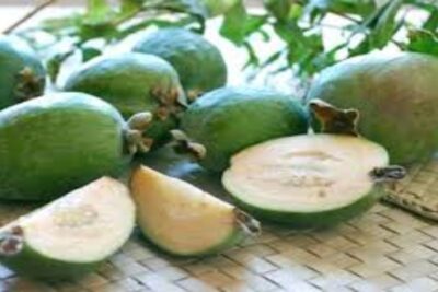 Guayaba de Brasil
