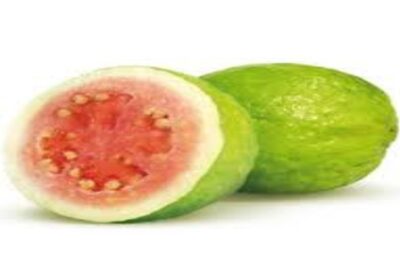 Guayabo de Brasil