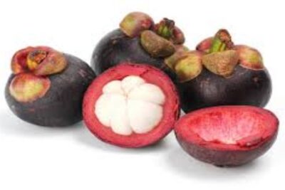 Mangostan