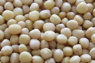 propiedades-y-beneficios-de-las-alubias