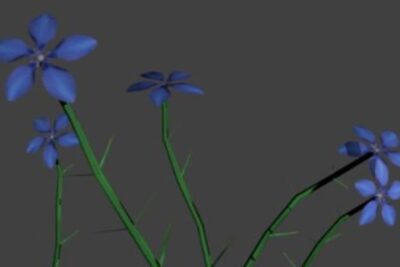 propiedades-y-beneficios-de-genciana