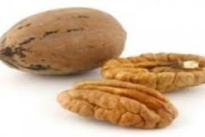 nuez Américana