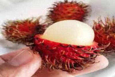 Rambután