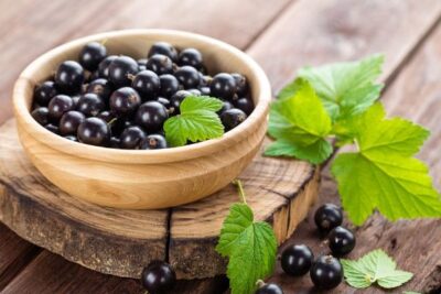 beneficios-y-propiedades-del-grosellero-negro